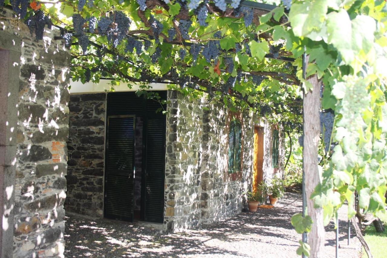 Ourmadeira - Loja Da Lenha, Charming Apartment Funchal  Exterior photo